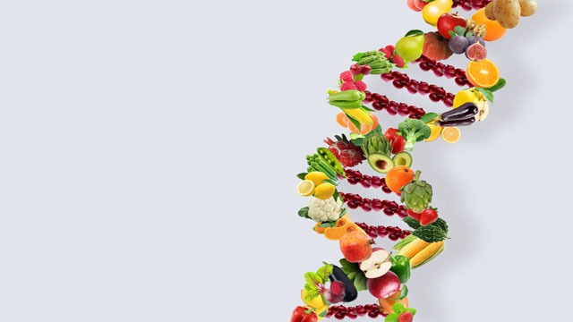 Nutrition